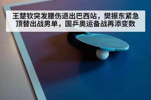 ping pong paddle close up